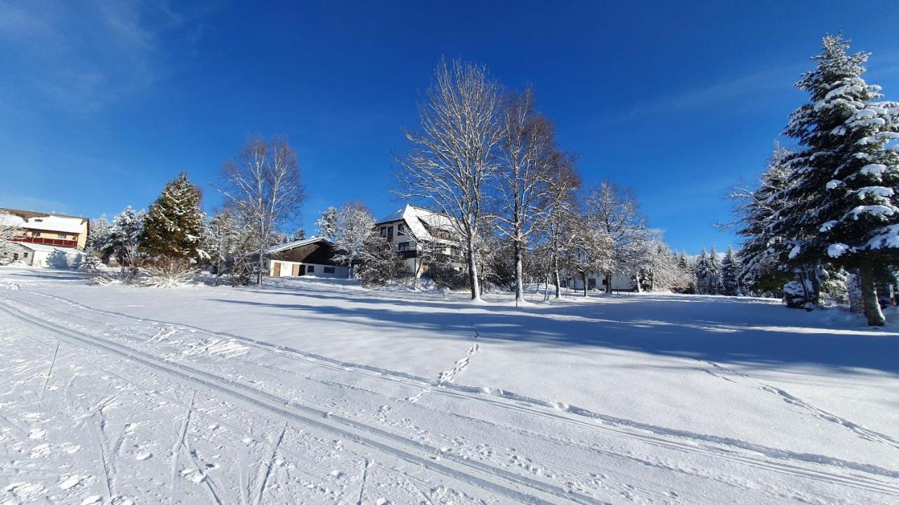 Apartmán Haus Schonblick Kniebis Exteriér fotografie