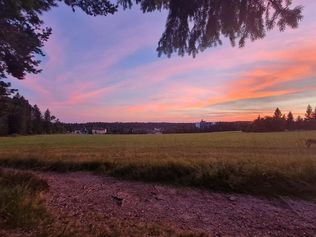 Haus Schoenblick Kniebis Exteriér fotografie