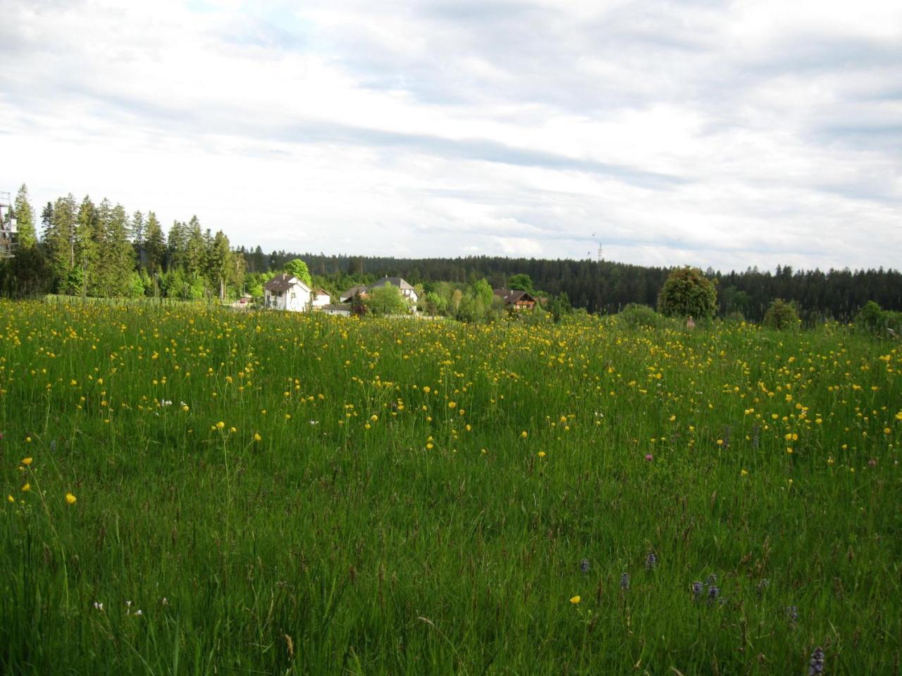 Apartmán Haus Schonblick Kniebis Exteriér fotografie